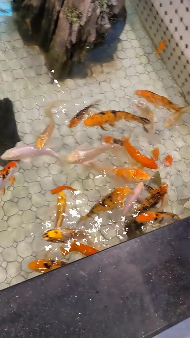 Carlisle Super Buffet Restaurant
